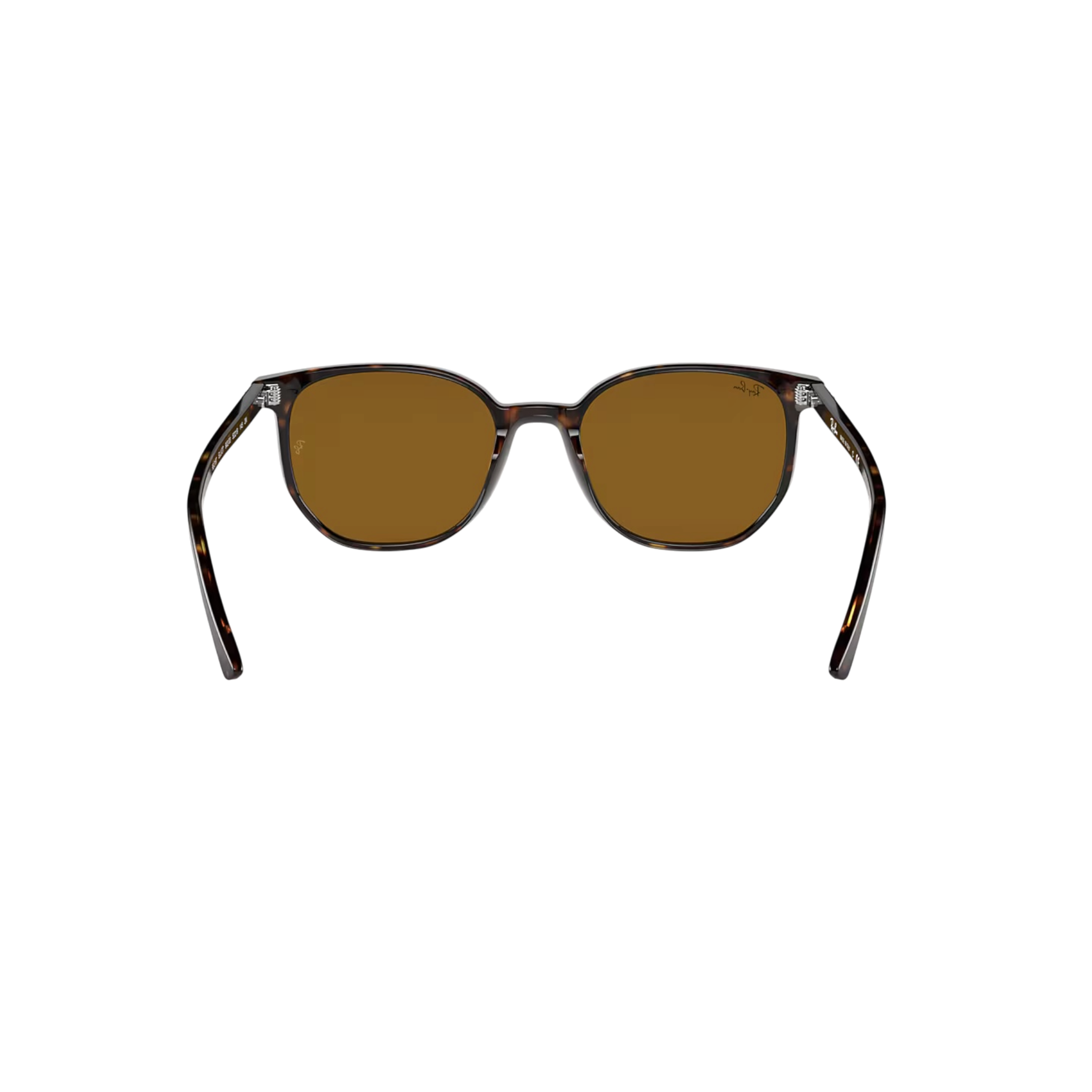 Ray-Ban Elliot Sunglasses