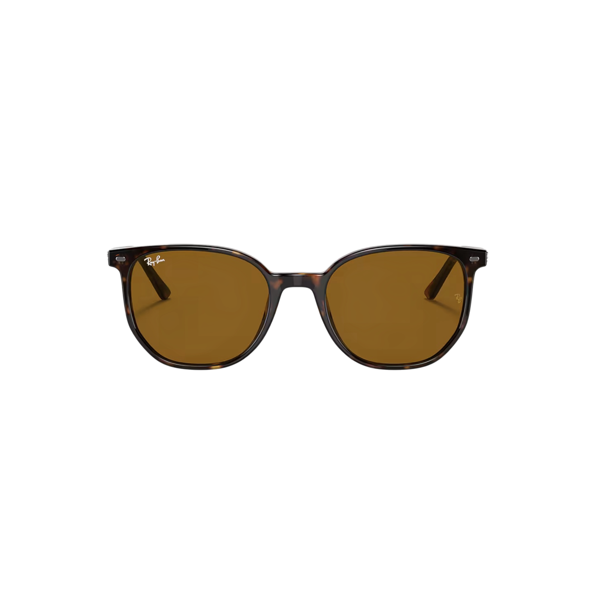 Ray-Ban Elliot Sunglasses