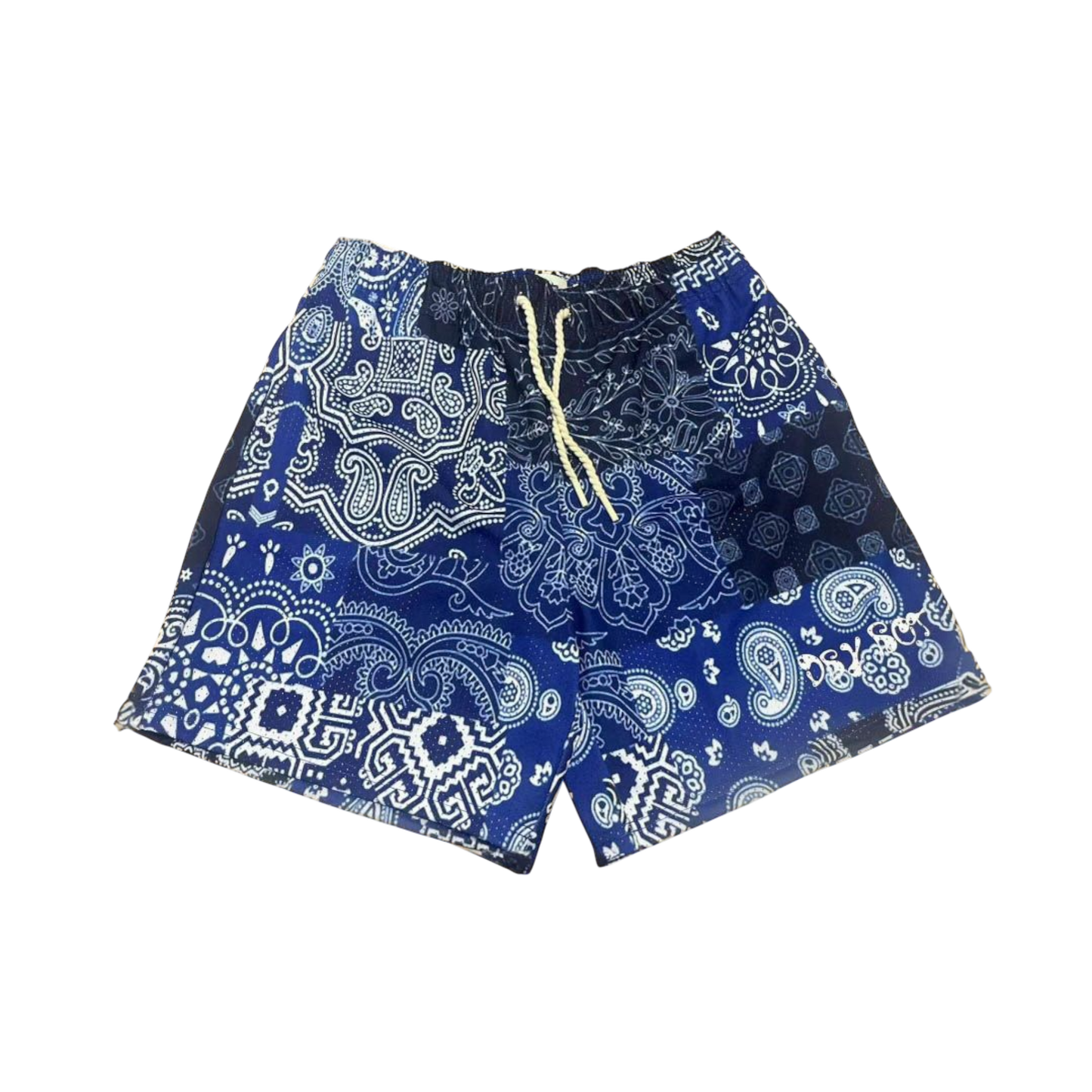 Dry Rot Blue Paisley Shorts